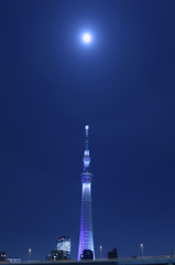 今年二回目のスカイツリー