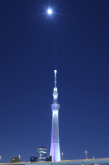今年初のスカイツリー