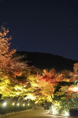 清水寺　夜の特別拝観