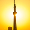 どんな風に