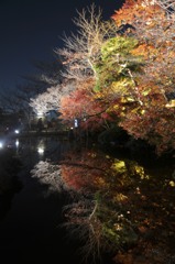 清水寺　夜の特別拝観