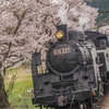 家山にて