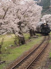 家山にて