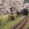 家山にて