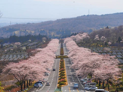 富士霊園