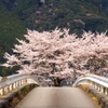 橋を渡れば