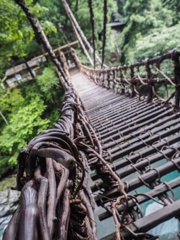 祖谷のかずら橋