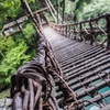 祖谷のかずら橋