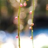 まだまだ