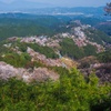 吉野山