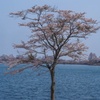 田貫湖にて