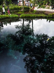 水の中の天の川