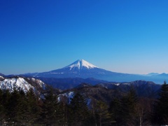 富士山