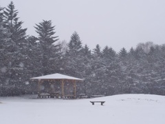 しんしんと雪降る。