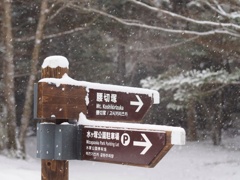 水ヶ塚より