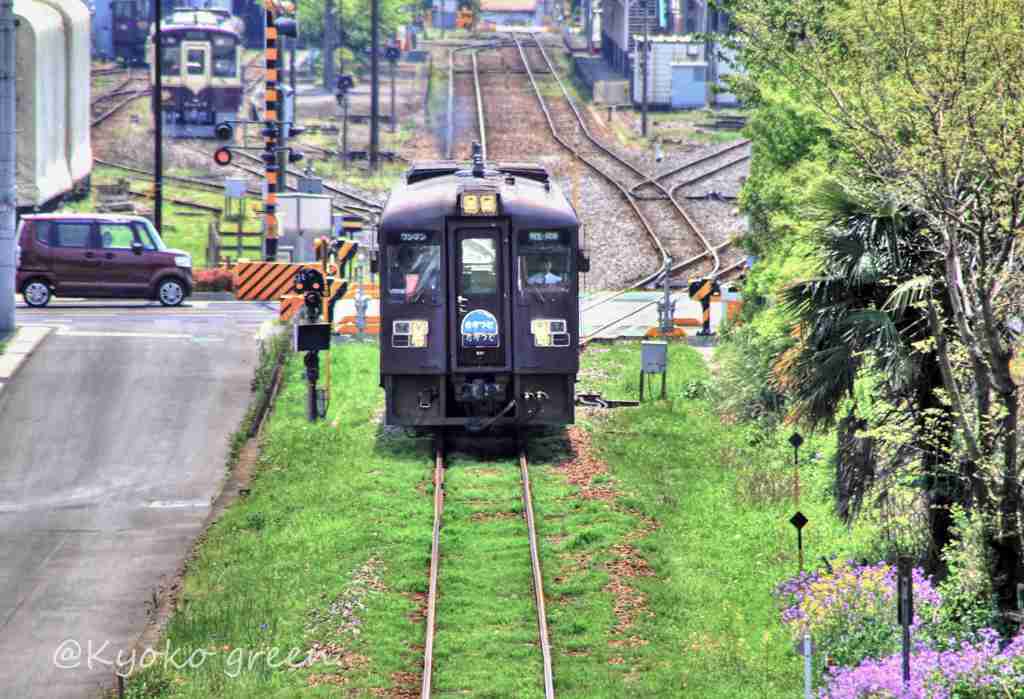 わたらせ渓谷鉄道　萌え♪