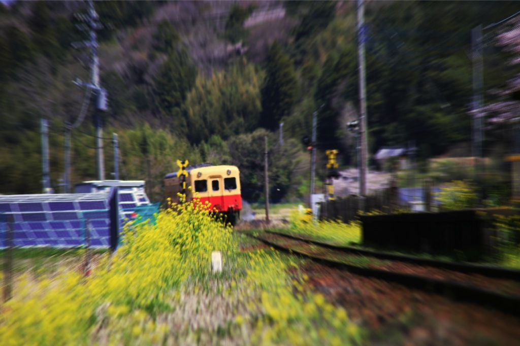 待ち人きた♪