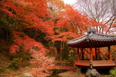 岩国