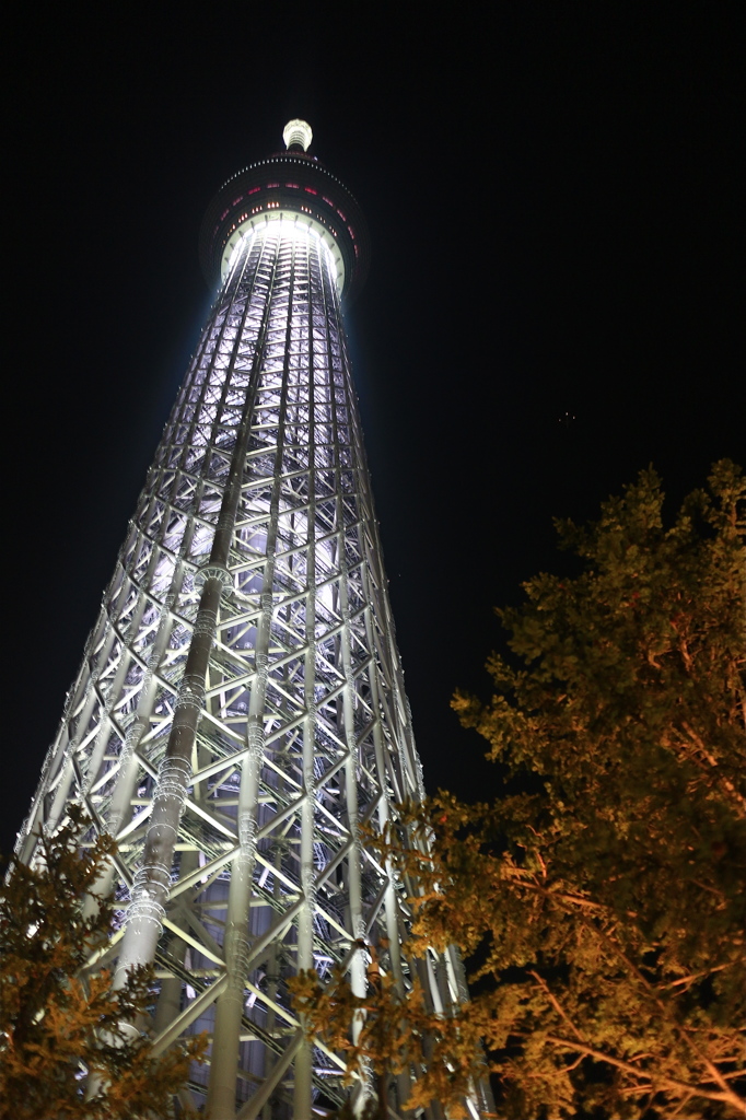 今夜のスカイツリー