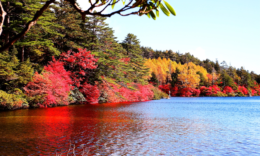 至福の紅葉