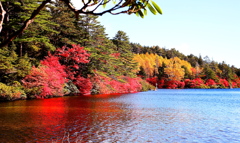 至福の紅葉
