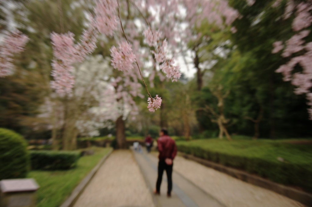 散歩