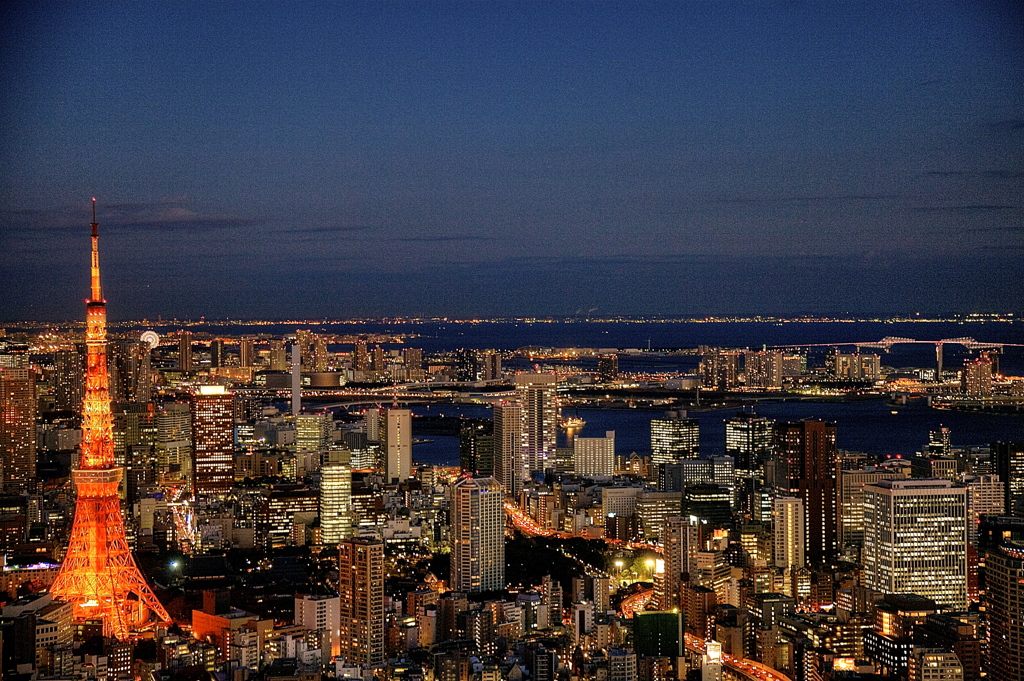 ヒルズからの夜景