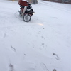 降り続いてます〜