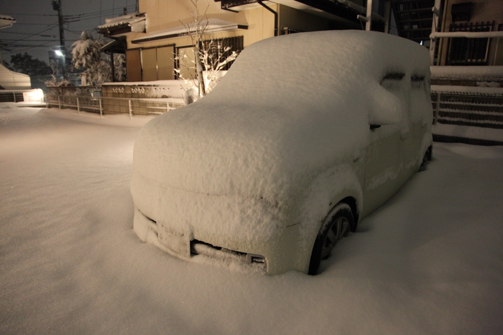 埋もれてます