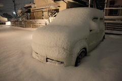 埋もれてます