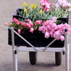 花束