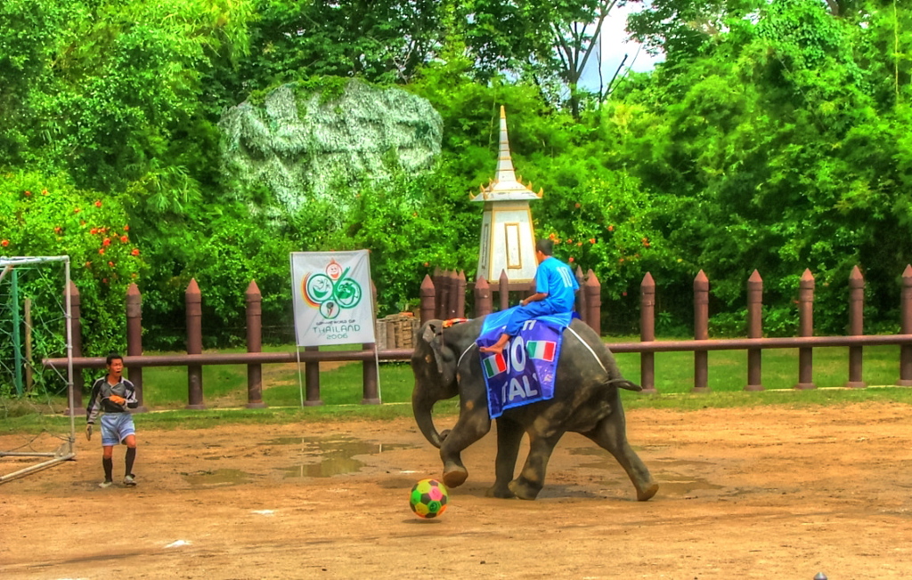 サッカー！