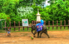 サッカー！
