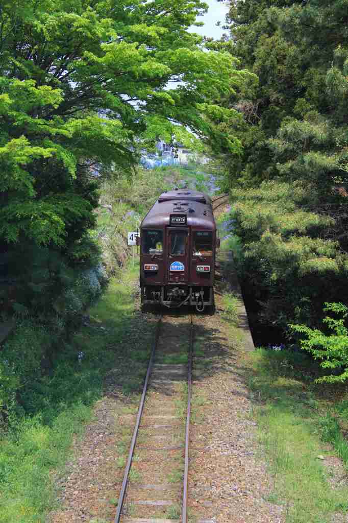 わたらせ渓谷鉄道　萌え♪