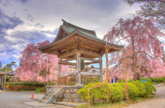 花曇り