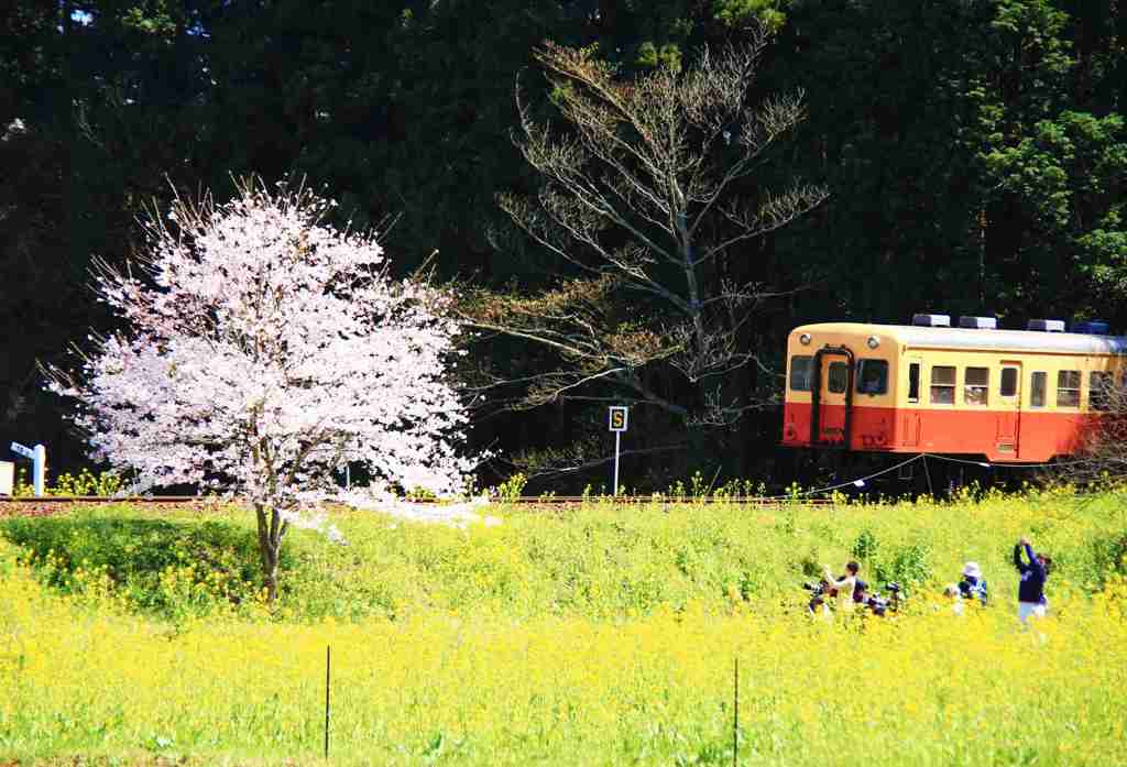 光の中に