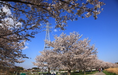 青空と送電線