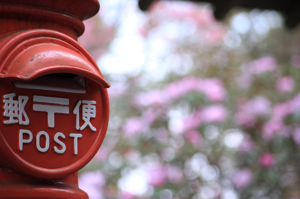 季節の便り