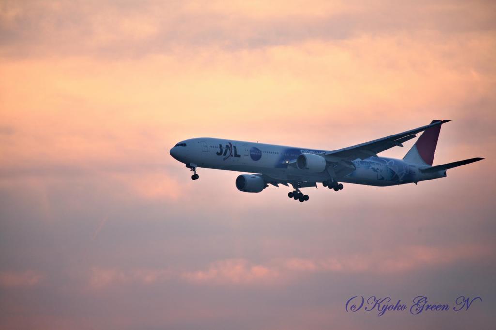 夕暮れの空に