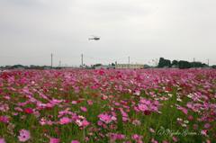 空から見てみよう＾＾