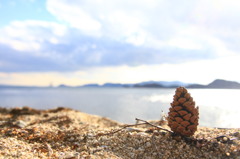 海からの贈り物