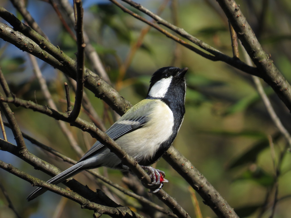 お宝は離さない