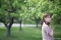 愁
