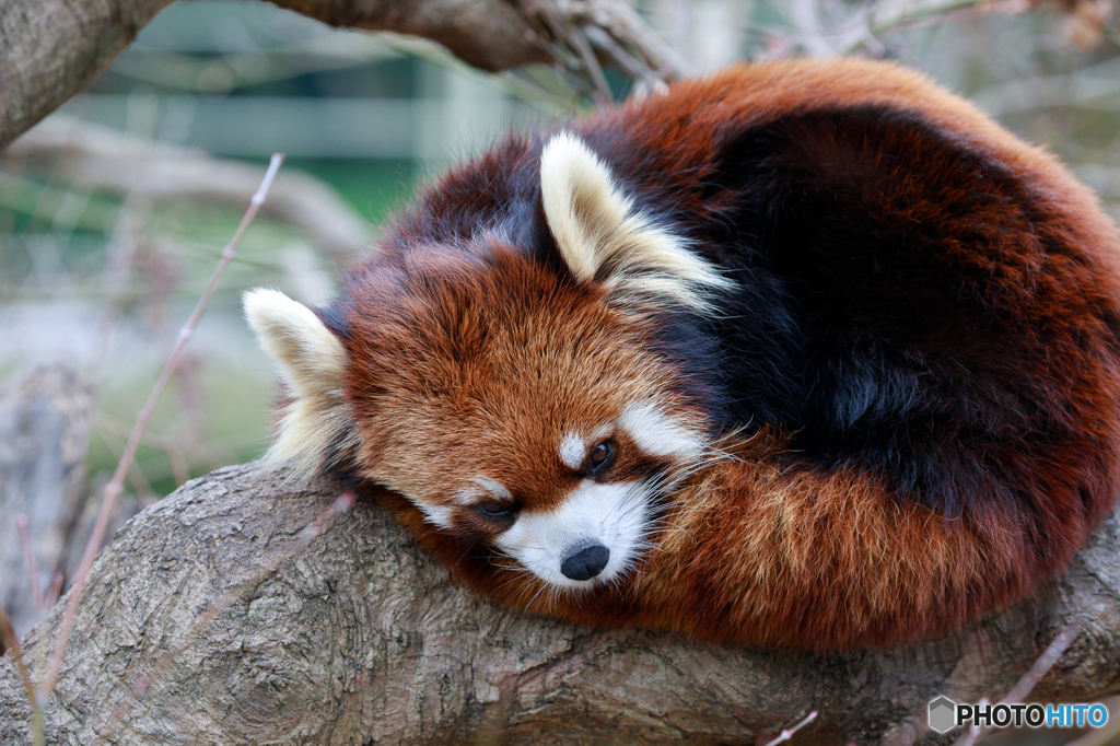 眠いんです