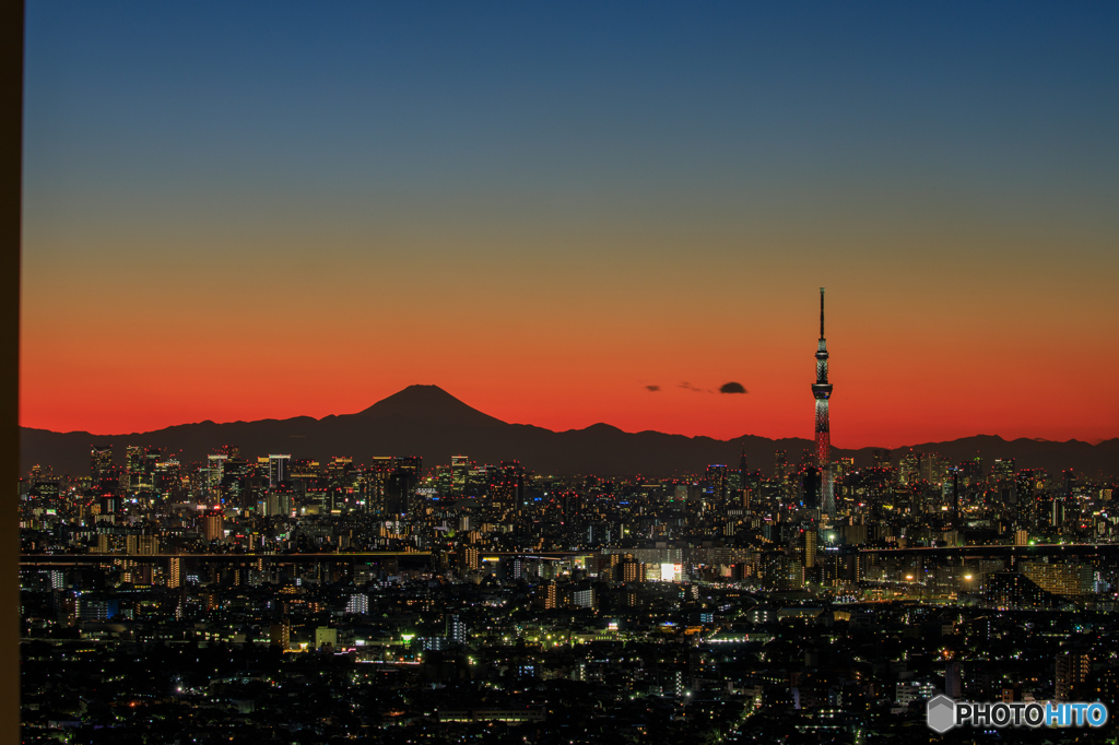 スカイツリーと富士山