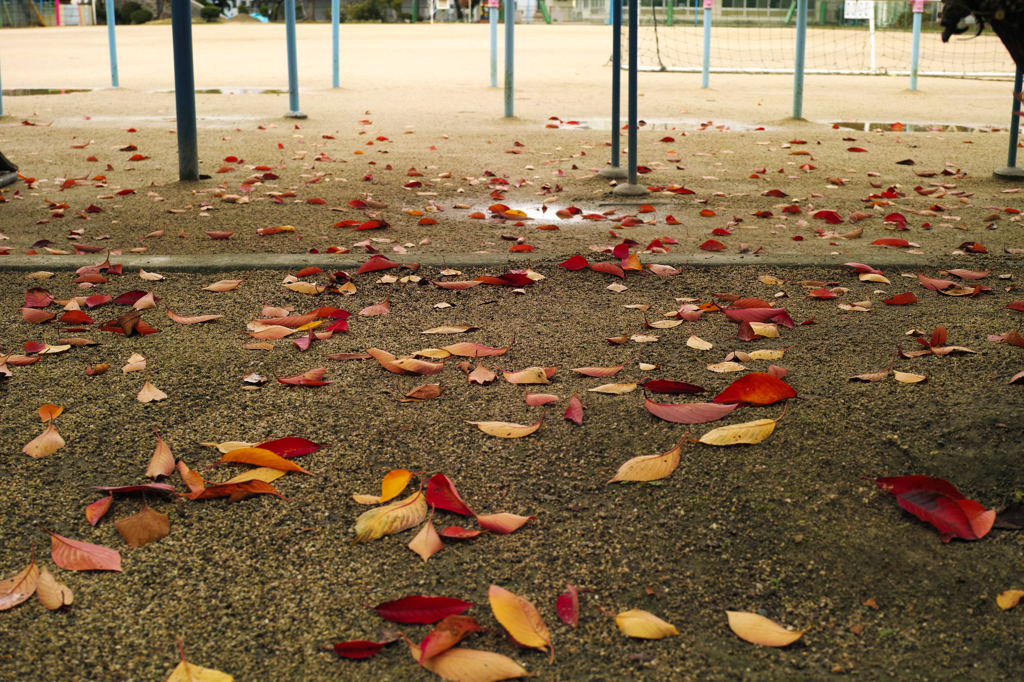 fall of the leaf