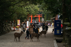 春日のニノ鳥居