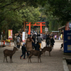 春日のニノ鳥居