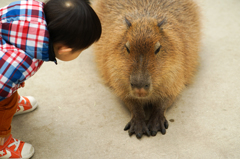 でかい
