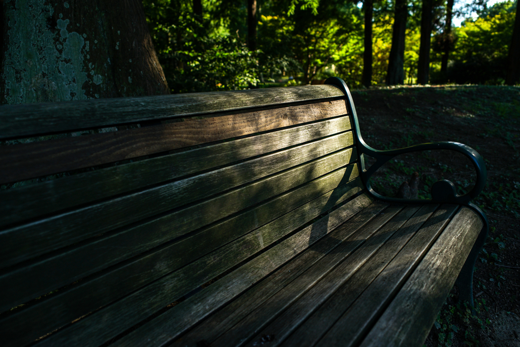 bench no.30